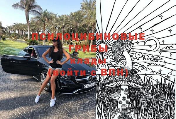 ПСИЛОЦИБИНОВЫЕ ГРИБЫ Верея