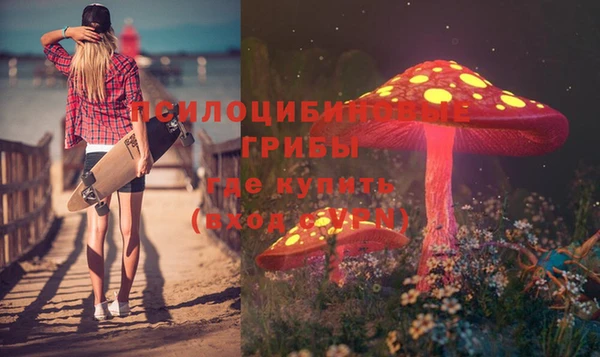 прущая мука Верхний Тагил