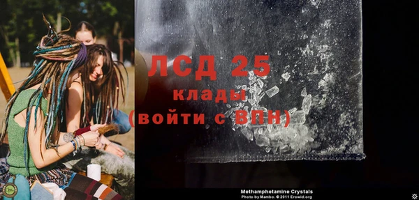 ПСИЛОЦИБИНОВЫЕ ГРИБЫ Волосово