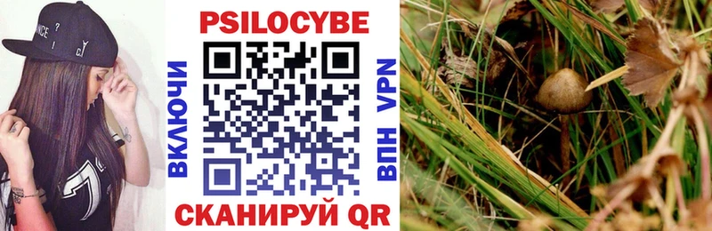 Галлюциногенные грибы прущие грибы Нижневартовск